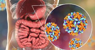Was ist Hepatitis B – und wie gefährlich ist das Virus wirklich? Was ist Hepatitis B